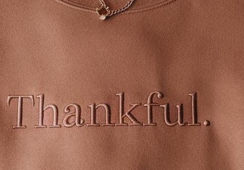 Embroidered Thankful Sweatshirt, Thanksgiving Sweatshirt, Cute Fall Crewneck, Fall Shirt, Religious Gift Idea, Retro Fall Season, Autumn Tee